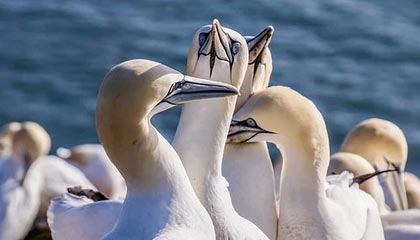 开云体育中国官网-《电竞产业多元布局：从游戏开发到赛事运营全线发力》，电竞产业分析数据参考