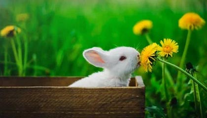 开云下载-VALORANT 青训新人首次登场 表现超出预期，valorant发布