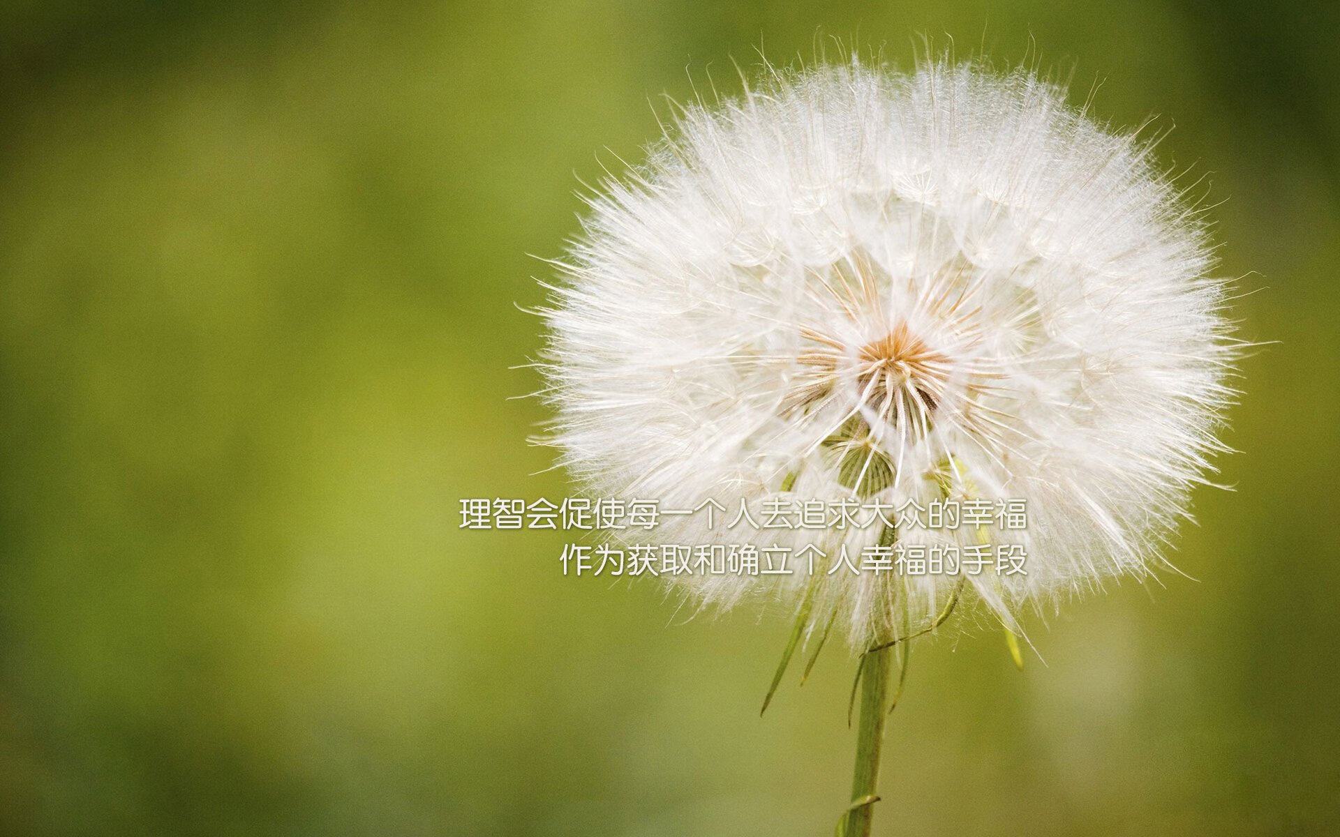 《王者荣耀跨国大战，海外战队挑战传统豪门》，王者荣耀海外对手