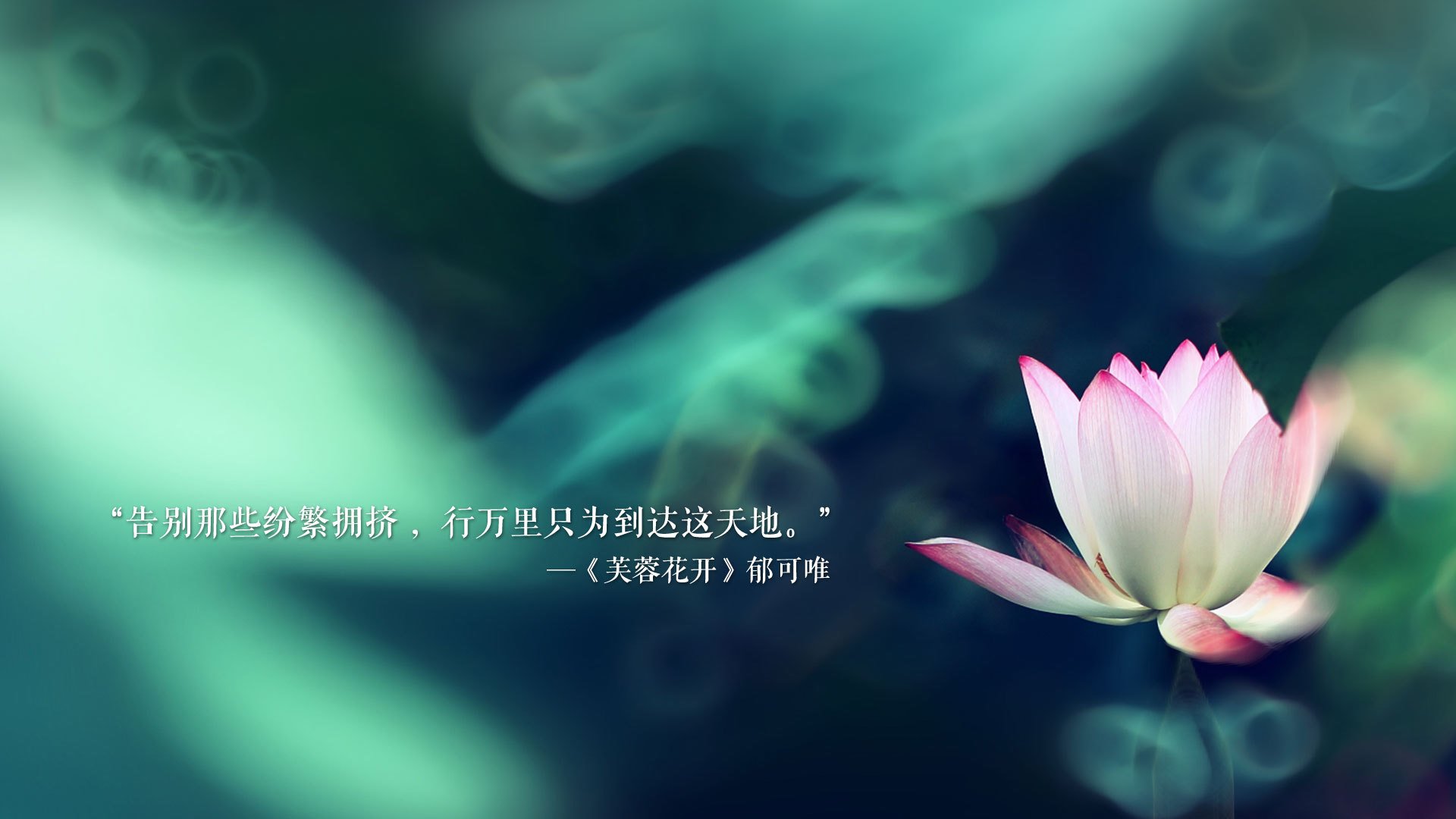 摩洛哥马术协会引入智能马鞍系统，实现实时数据监测与分析，提升骑乘体验。