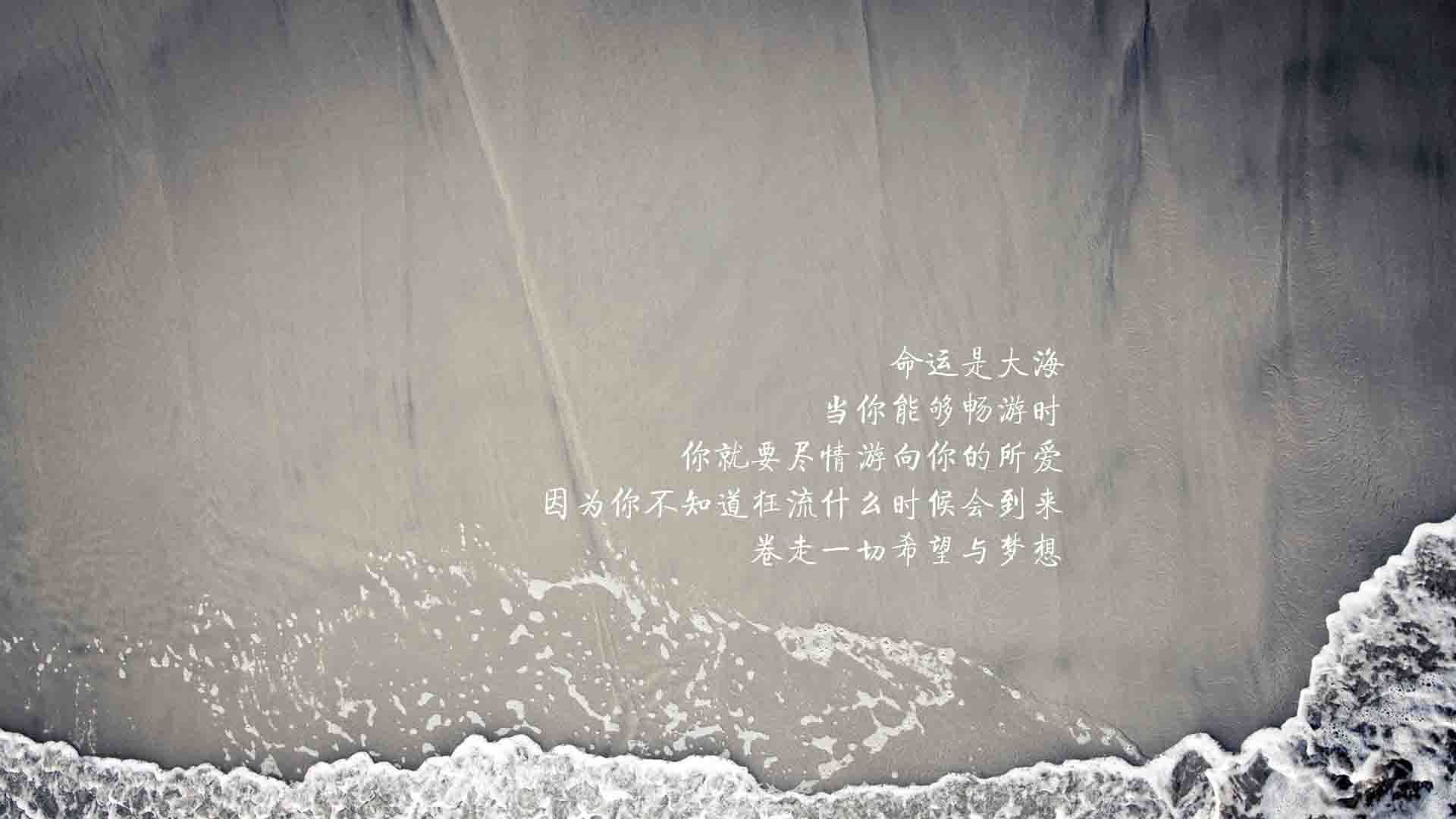 球场风云：最震撼的单场爆发瞬间，球场风云视频