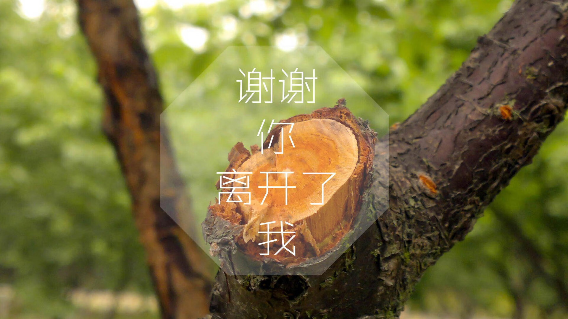 利物浦辛途厄境逞强，欧冠漫漫苦行通情达理，利物浦新