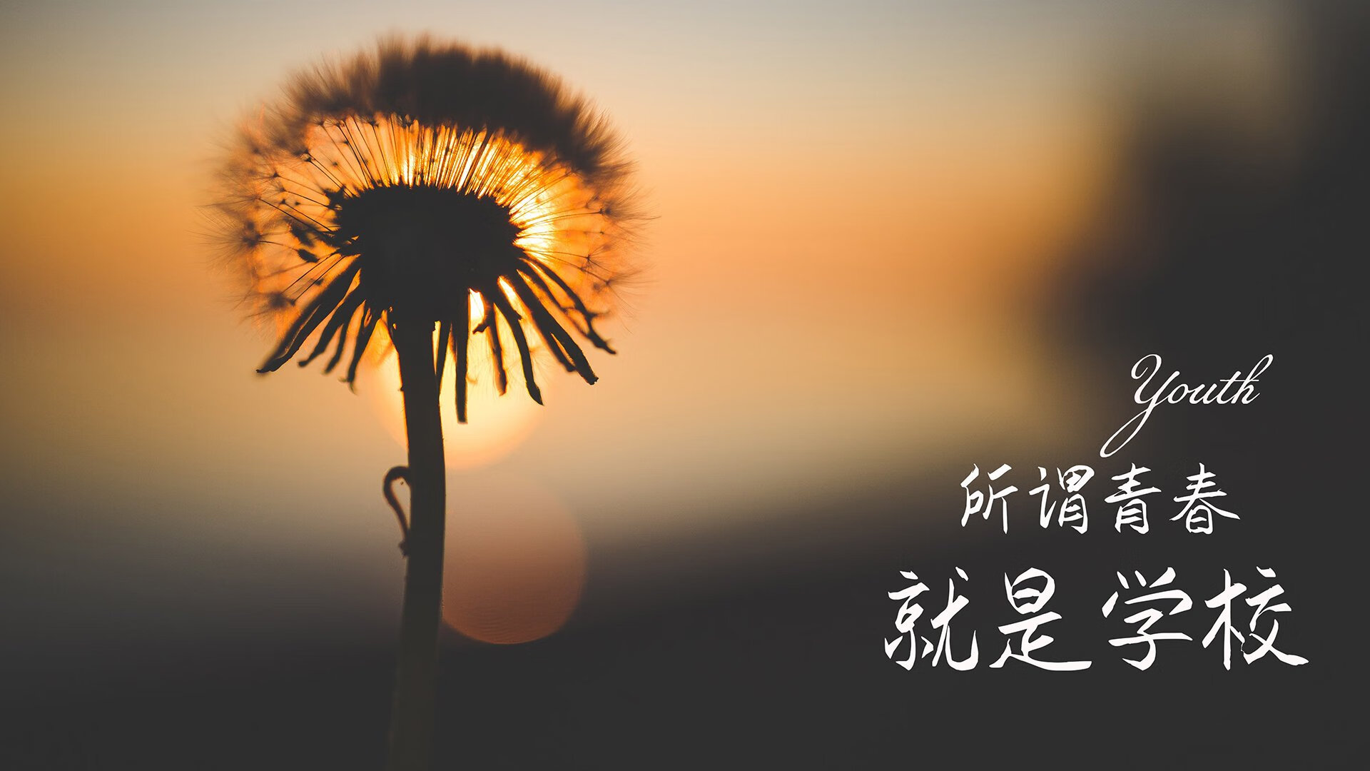 弗赖堡的整体防守能力是否被低估，弗赖堡位置