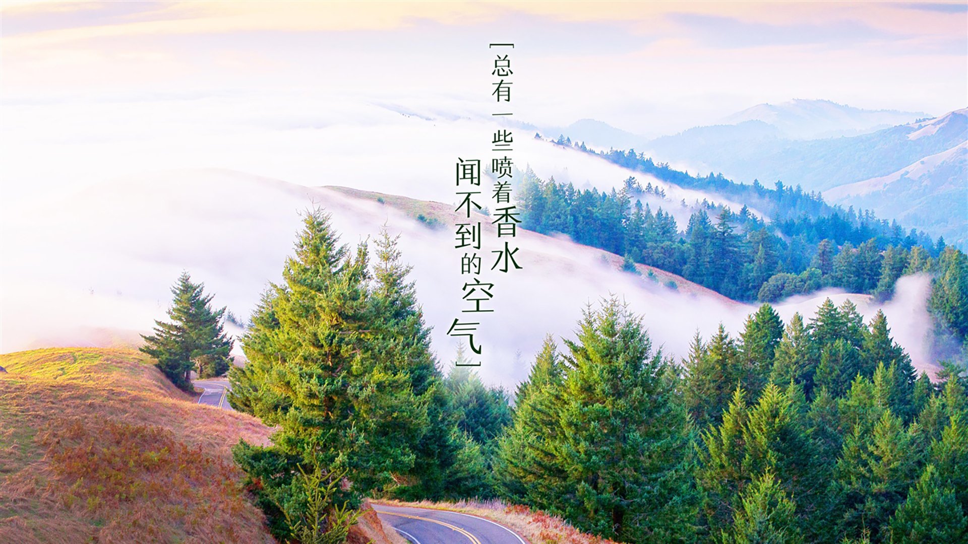 电竞直播技术升级带来的内容质量与用户体验提升研究，电竞直播发展现状