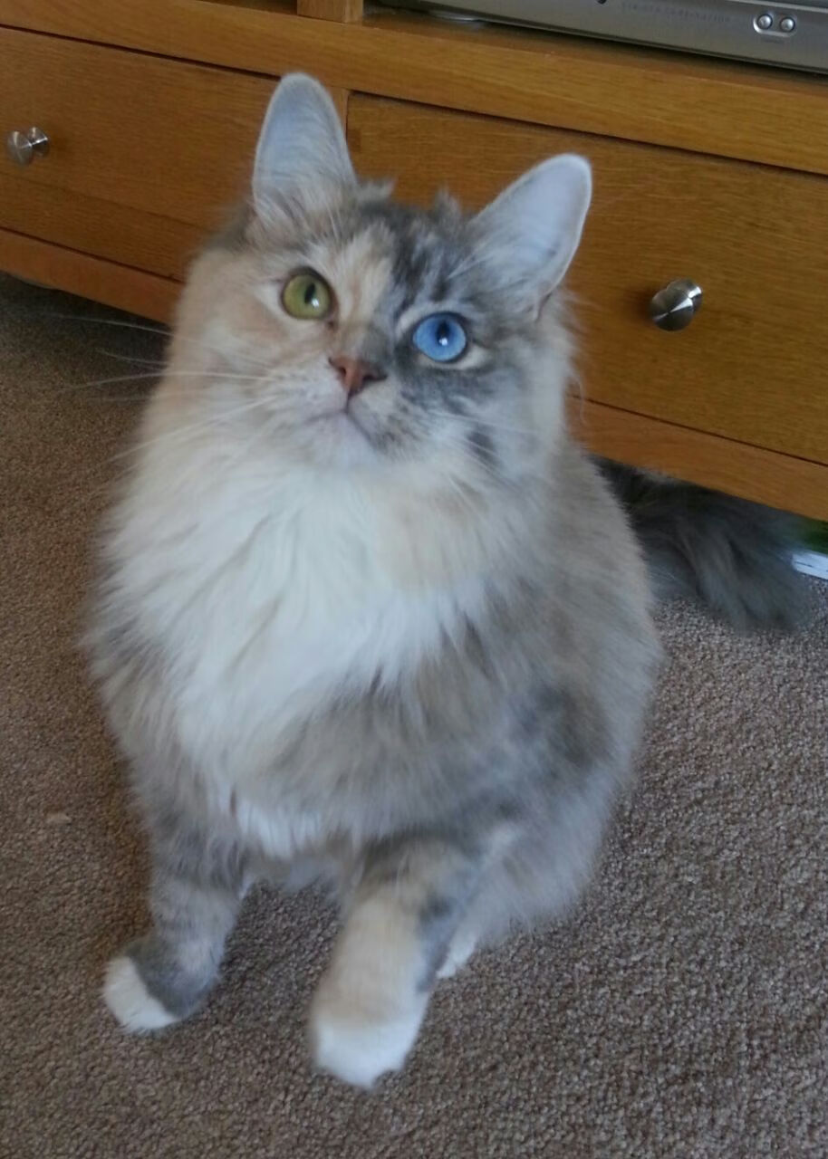 开云·体育官网APP下载-马竞客场0-1不敌皇家社会，遭遇两连败，马竞vs皇家社会预测