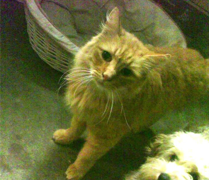 东亚杯中国青年队战平 球迷对球队依然有信心，东亚杯中国青年队战平 球迷对球队依然有信心