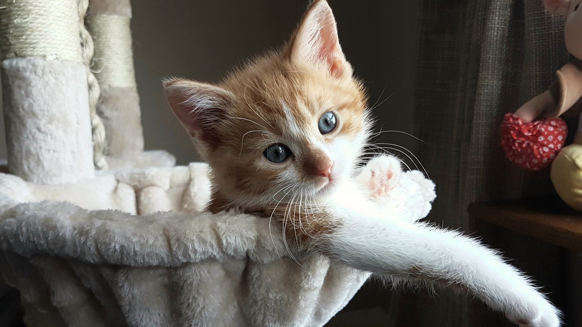 开云平台-新赛季联赛规则加入饮水时间明确规定，联赛准备时间