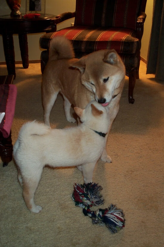 KAIYUNAPP-数据背后的真实比赛表现解读，数据背后的真相