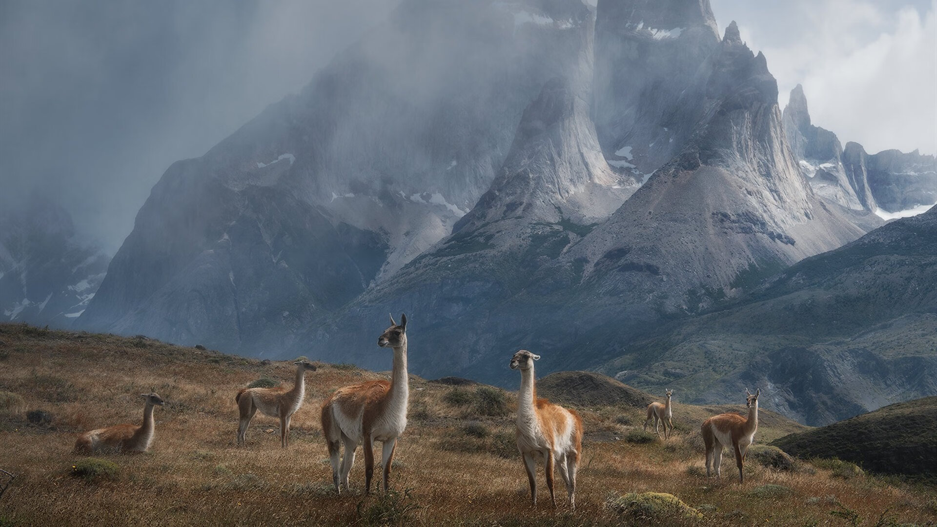 波兰队赛制深度分析：赛制中的人员搭配与战术应对，波兰球队分析