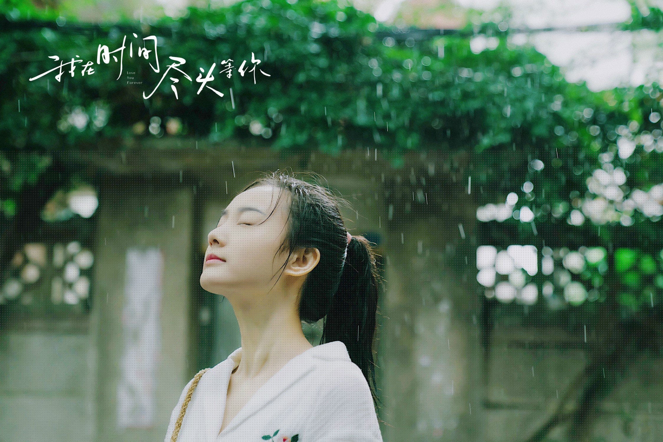 瑞典乒乓球队未来:如何在国际舞台再创辉煌,瑞典国家乒乓球队