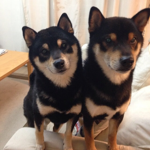 国家体育总局通报青少年专项训练数据比对系统上线情况,全国青少年体能标准