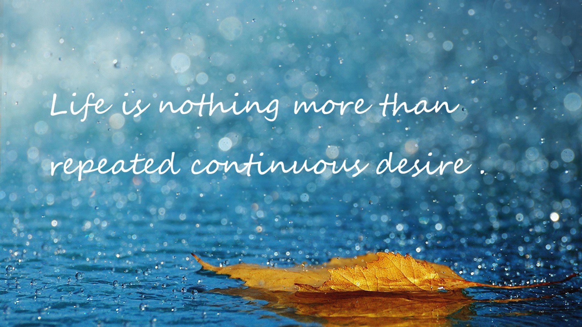 开云体育-女子国家队夺得里程碑胜利，推动女篮影响力提升，女子国家队篮球队员