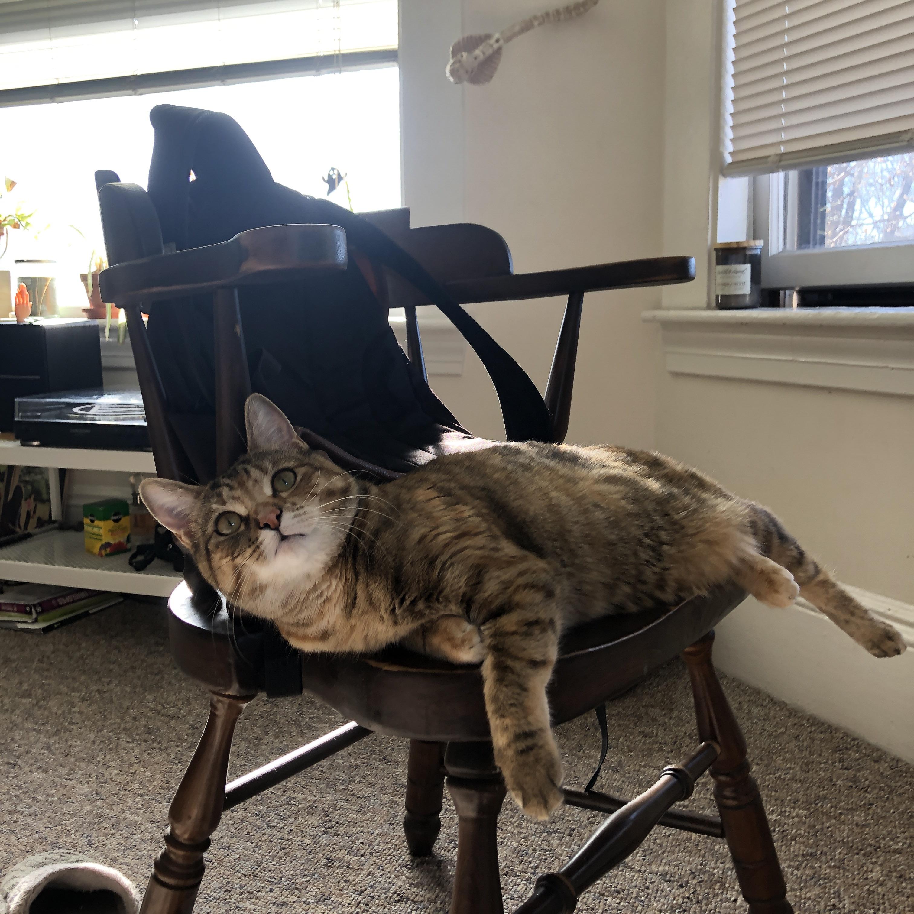 kaiyun中国官方网站-新闻平台推出赛事追踪专题聚焦赛季关键节点与核心对决