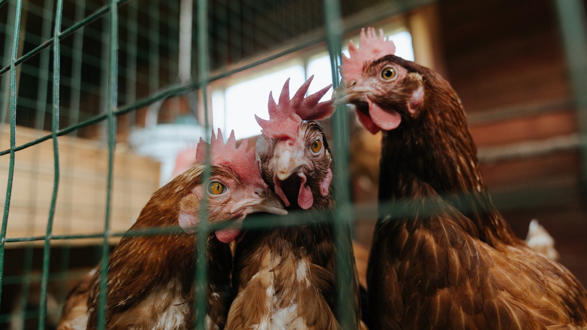 热火通过内部投票选出新赛季场上领袖,热火队领袖