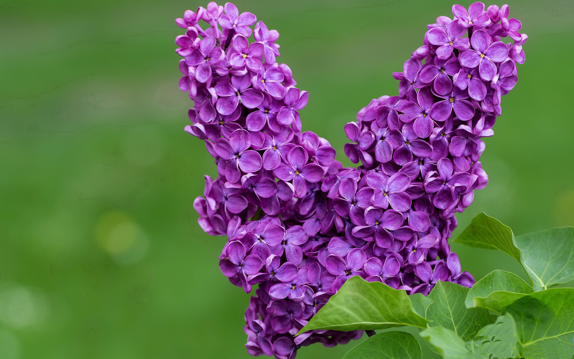 Kaiyun官方登录入口-观众入场秩序井然场馆服务全面升级提升观赛体验质量，观众入场须知口播