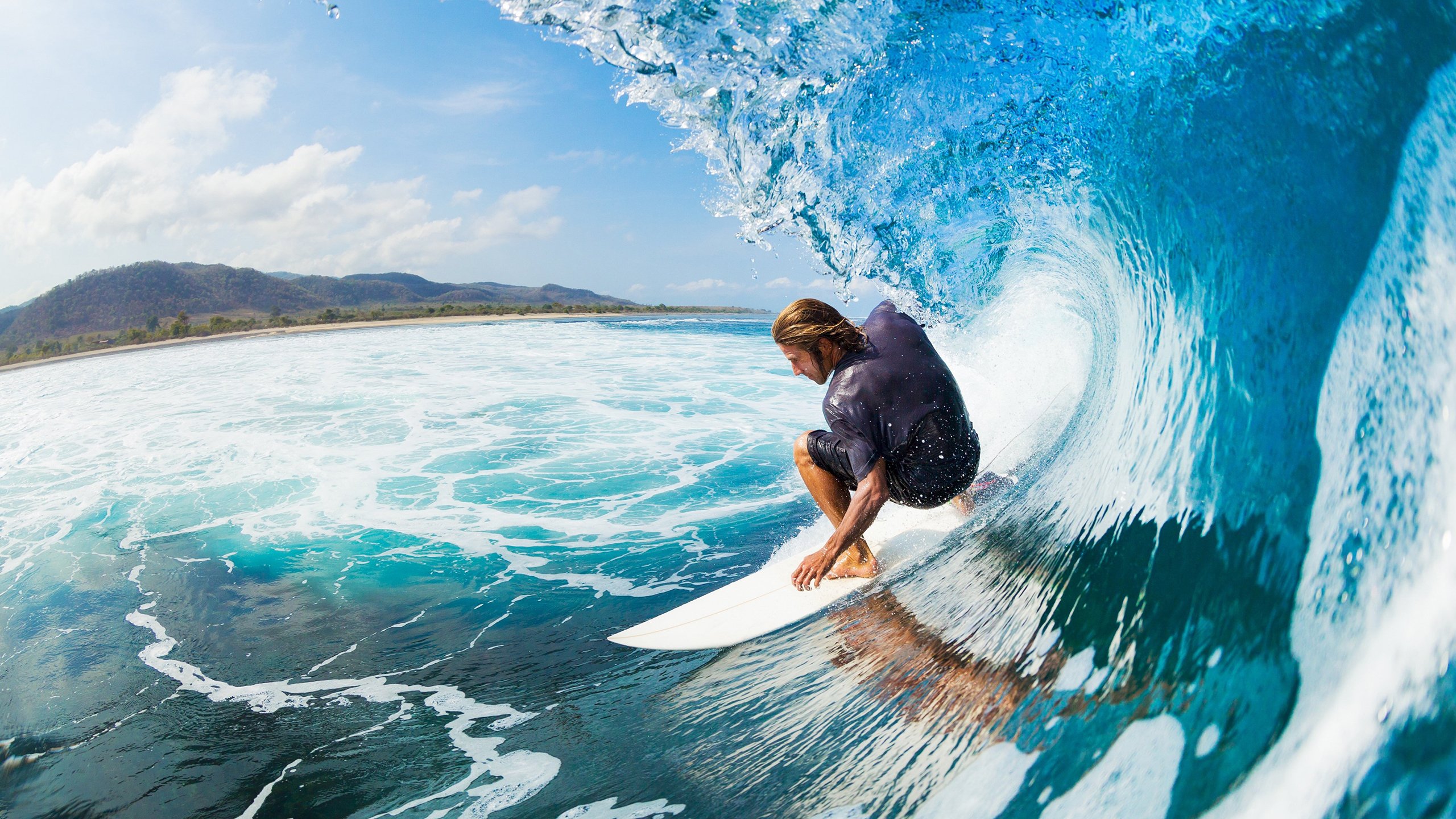 _猛兽运动会：传统民俗与运动的融合_，运动猛兽主题公园