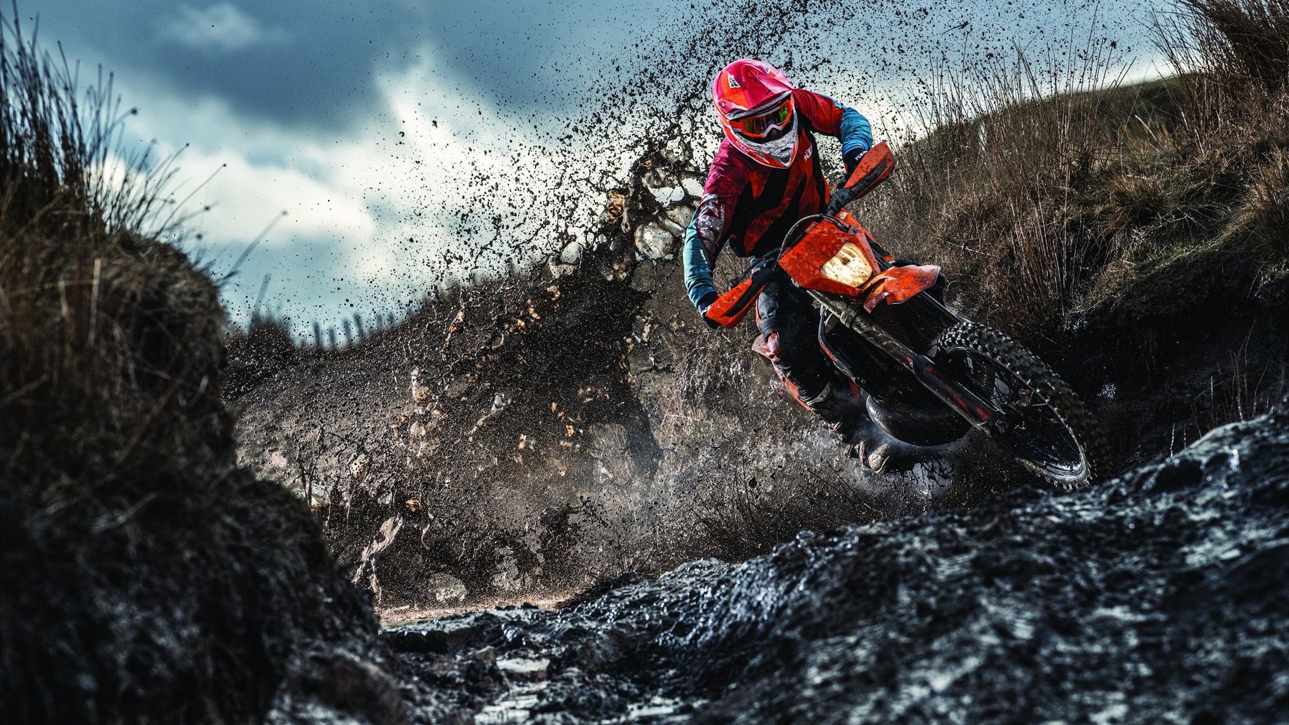 “海岸狂飙：沿线海天一色的极速赛段”