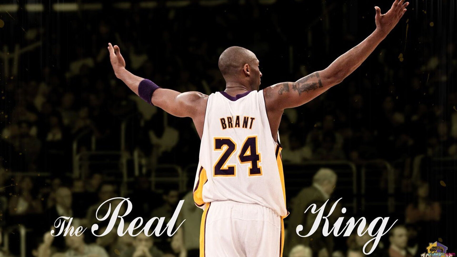 大数据赋能赛事运营，提升观众满意度与粘性，大数据科技赋能